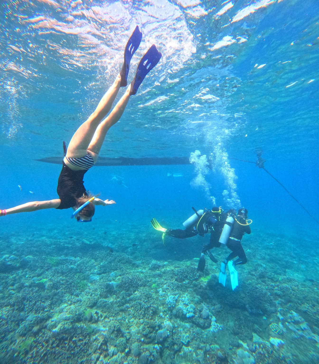 Underwater snorkeling experience