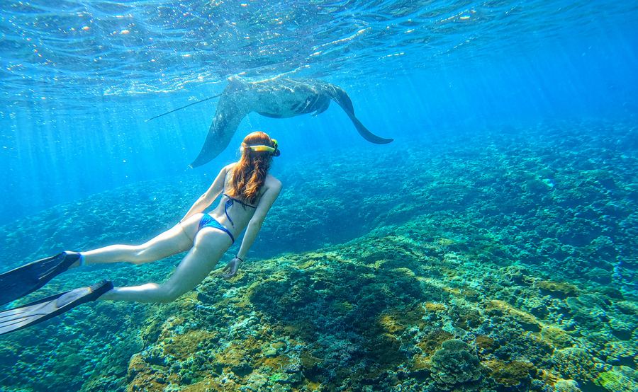 Snorkeler swimming with a manta ray at Manta Bay, Nusa Penida