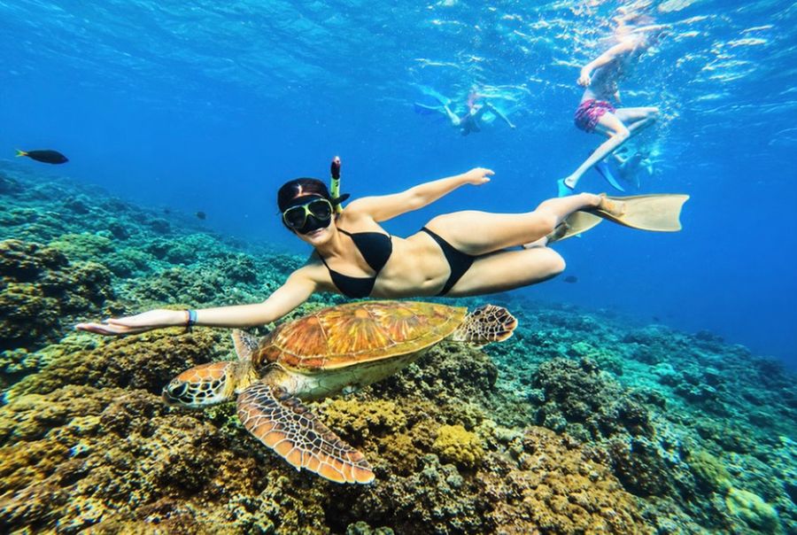 Snorkeler swimming beside a sea turtle on the Nusa Penida snorkeling and island trip